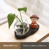  Chậu Cây Thủy Sinh 