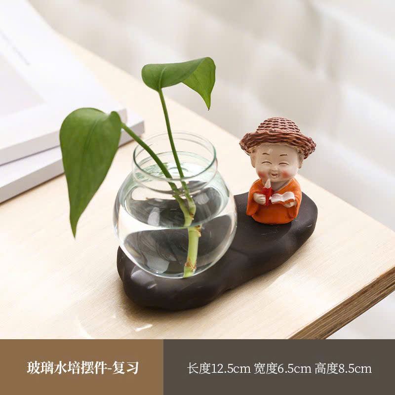  Chậu Cây Thủy Sinh 