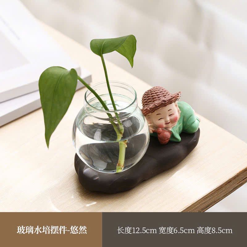  Chậu Cây Thủy Sinh 