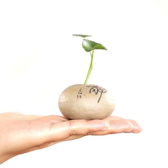  Bình Hoa Gốm Mini 