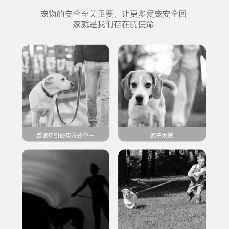  Dây Dắt Thông Mình 3m 5m Có Nút Bấm 