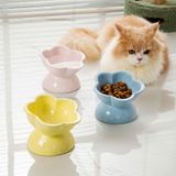  Chén Sứ Thức Ăn Cho Thú Cưng 
