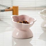  Chén Sứ Thức Ăn Cho Thú Cưng 