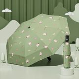  Ô Gấp Gọn, Dù Che Nắng, Che Mưa 