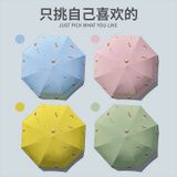  Ô Gấp Gọn, Dù Che Nắng, Che Mưa 