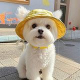  Nón Tai Bèo Cho Thú Cưng Có Tai 