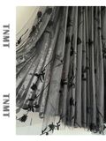  Chân váy hoa dài phủ lưới 