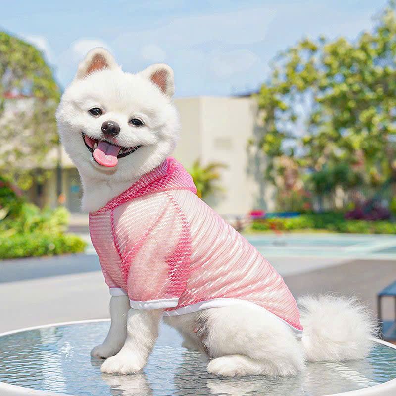  Áo Lưới Cho Thú Cưng 