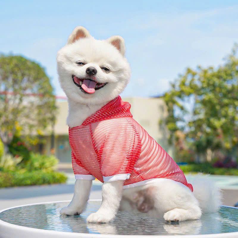  Áo Lưới Cho Thú Cưng 
