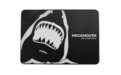 Ổ cứng SSD SSTC Megamouth 512GB SATA III