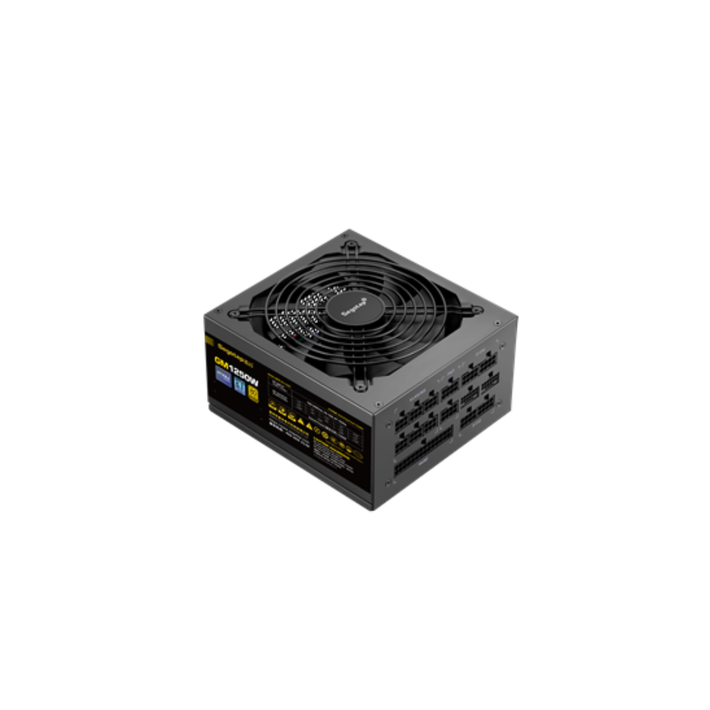 Nguồn Segotep GM1250W 1250W 80 Plus Gold Đen
