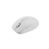 Chuột không dây E-Dra EM605W Ergonomic