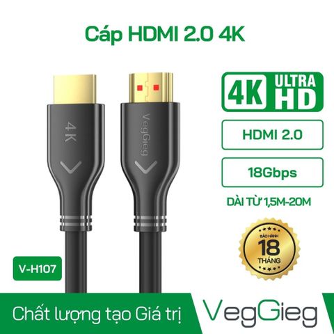 Cáp HDMI VEGGIEG dài 1.5m V-H107