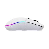 Chuột không dây Gaming DAREU EM911X