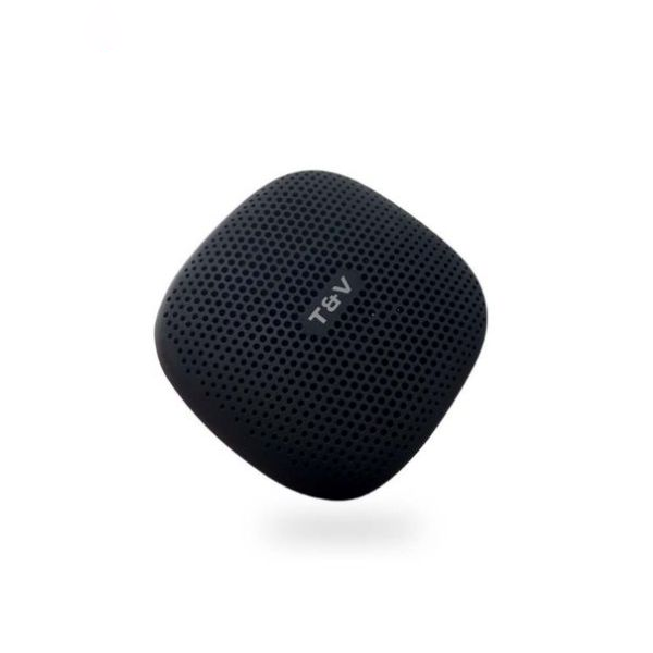 Loa Di Động Bluetooth Thonet And Vander DUETT TM