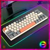 Bàn Phím cơ T WOLF T60 Gray White
