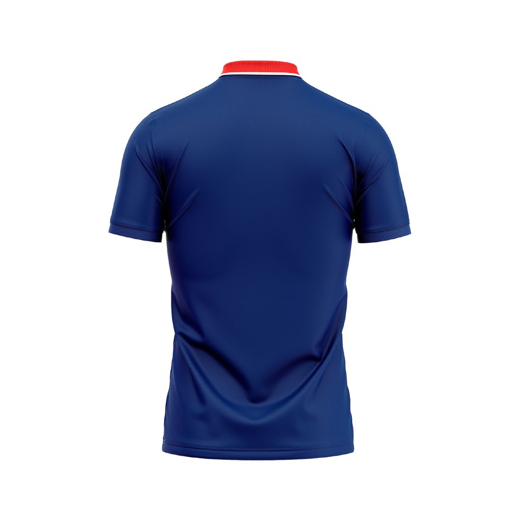Custom Pickleball & Tennis Polo – Color Streaks