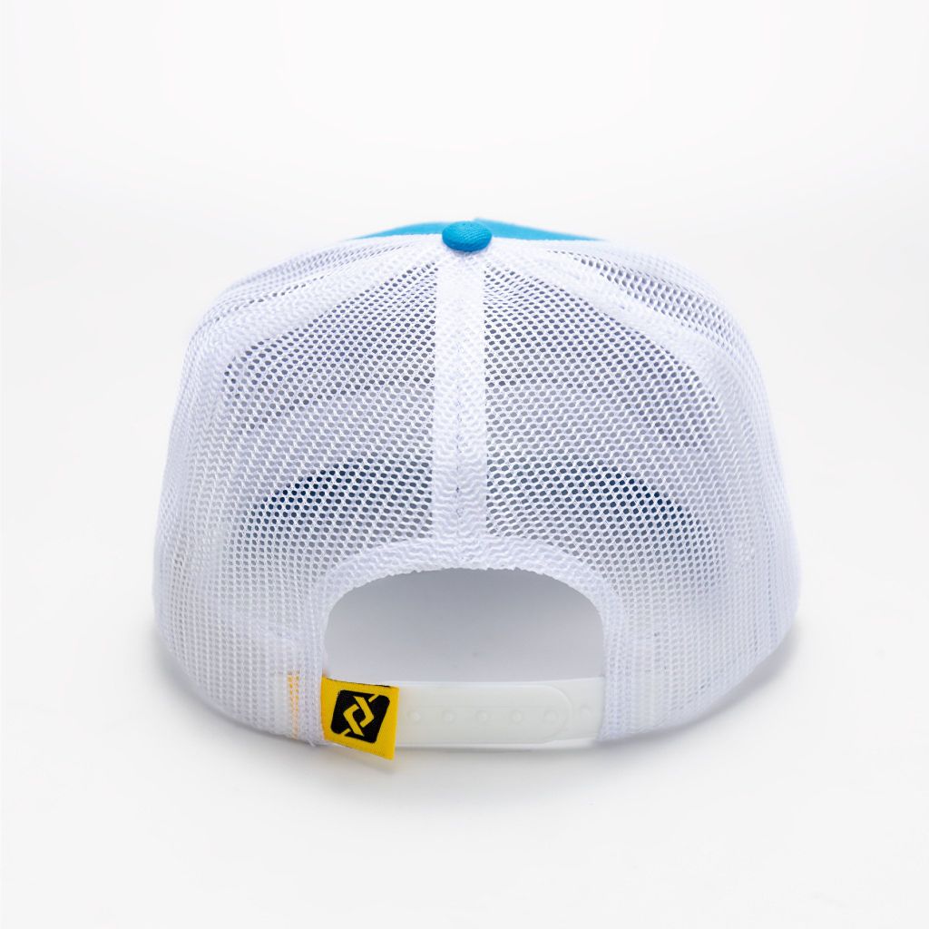 Fashionable mesh hats
