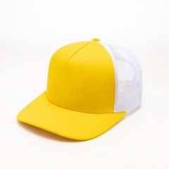 Fashionable mesh hats