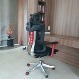  Ghế Công Thái Học TKV06 