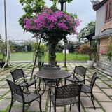  Bàn Sân Vườn BN20 - Đẳng Cấp và Tiện Nghi Cho Không Gian Ngoài Trời 