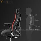  Ghế Công Thái Học Sihoo V1 