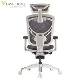  Ghế Công Thái Học GTChair Ivino Gen II Cao Cấp 