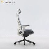  Ghế Công Thái Học Sihoo M93 