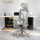  Ghế Công Thái Học GTChair Dvary Butterfly 
