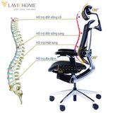  Ghế Công Thái Học GTChair Marrit X 