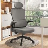  Ghế Công Thái Học Ergonomic TKK21+ 