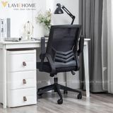  Ghế Công Thái Học Manson Oasis 