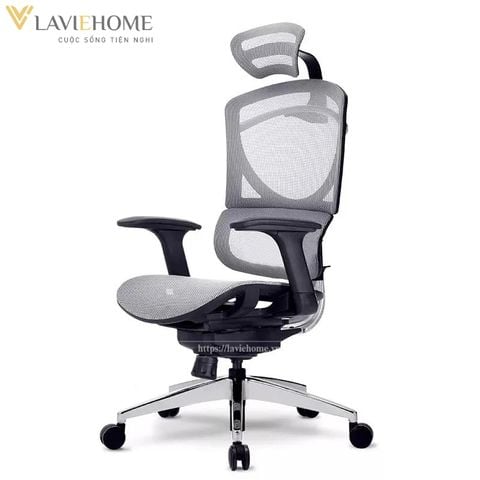  Ghế Công Thái Học GTChair Isee M 
