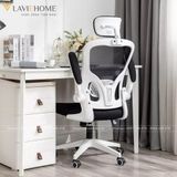  Ghế Công Thái Học Manson Regal 