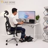  Ghế Công Thái Học Manson Vera Wintex 