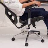  Ghế Công Thái Học Manson Vera Dragon 