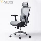  Ghế Công Thái Học Manson Vera Wintex 