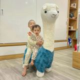  Ghế Thư Giãn Hình Thú AKBB06 – Đáng Yêu & Tiện Lợi 