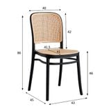  Ghế Nhựa Đúc Giả Mây S3042 - Thiết Kế Sang Trọng, Chịu Lực Tốt 