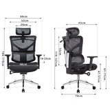  Ghế Công Thái Học HSTP004 