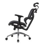  Ghế Công Thái Học HSTP004 