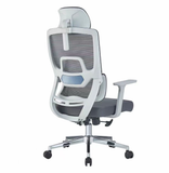  Ghế Công Thái Học HSVP049 