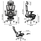  Ghế Công Thái Học HSVP050 