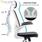  Ghế Công Thái Học Manson Regal 