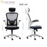  Ghế Công Thái Học Manson Regal 