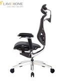  Ghế Công Thái Học GTChair Ivino Gen II Cao Cấp 