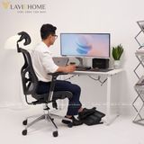  Ghế Công Thái Học Manson Vera Dragon 