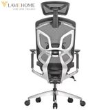  Ghế Công Thái Học GTChair Dvary Butterfly 