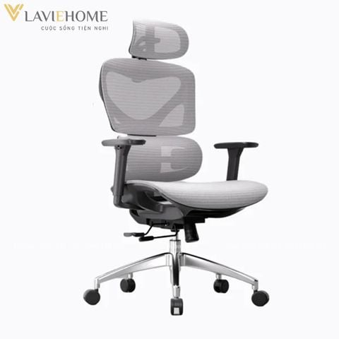  Ghế Công Thái Học Manson Iris Wintex 