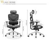  Ghế Công Thái Học Manson Iris Wintex 